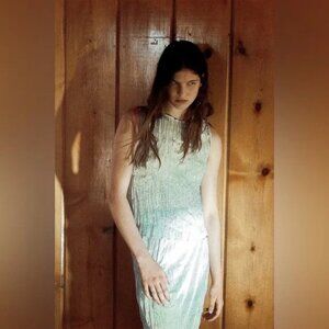 NWT Zara Silver Metallic Thread Shine Wrinkle Effect Skirt
